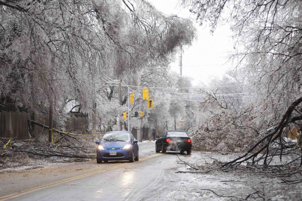 Vehicles drive around ice-covered tree branches that came down after freezing rain, blocking Mount Pleasant Road in Toronto