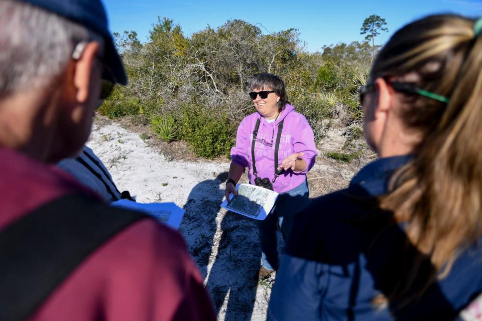 Monica Folk, an endangered species biologist hired by Indian River County, and Ashley Lingwood, Indian River County’s conservation lands program coordinator, carefully hold a Florida scrub jay to observe its wings after banding the juvenile bird, Feb. 1, 2024, at Wabasso Scrub Conservation Area.