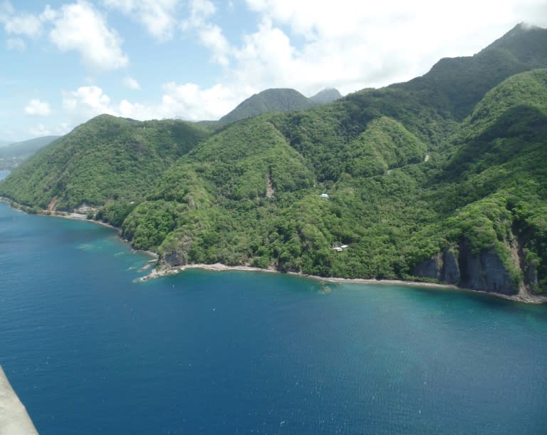 The Dominica forest is seen in August 2015, two years before Hurricane Maria tore through the tiny Caribbean island