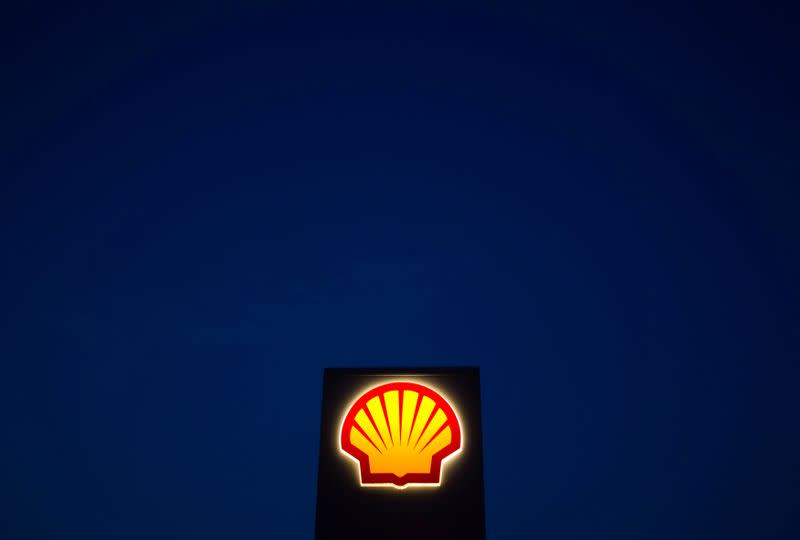 FILE PHOTO: A Shell oil and gas sign is pictured near Nowshera