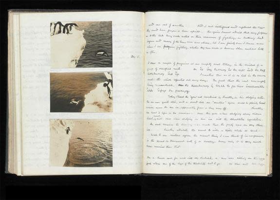 Levick kept his notes on the penguins in two separate notebooks, one of which was for the "depraved" sexual acts he observed. The notebook, some coded in Greek, is being displayed until Sept. 2, 2012 at the Natural History Museum's exhibition "