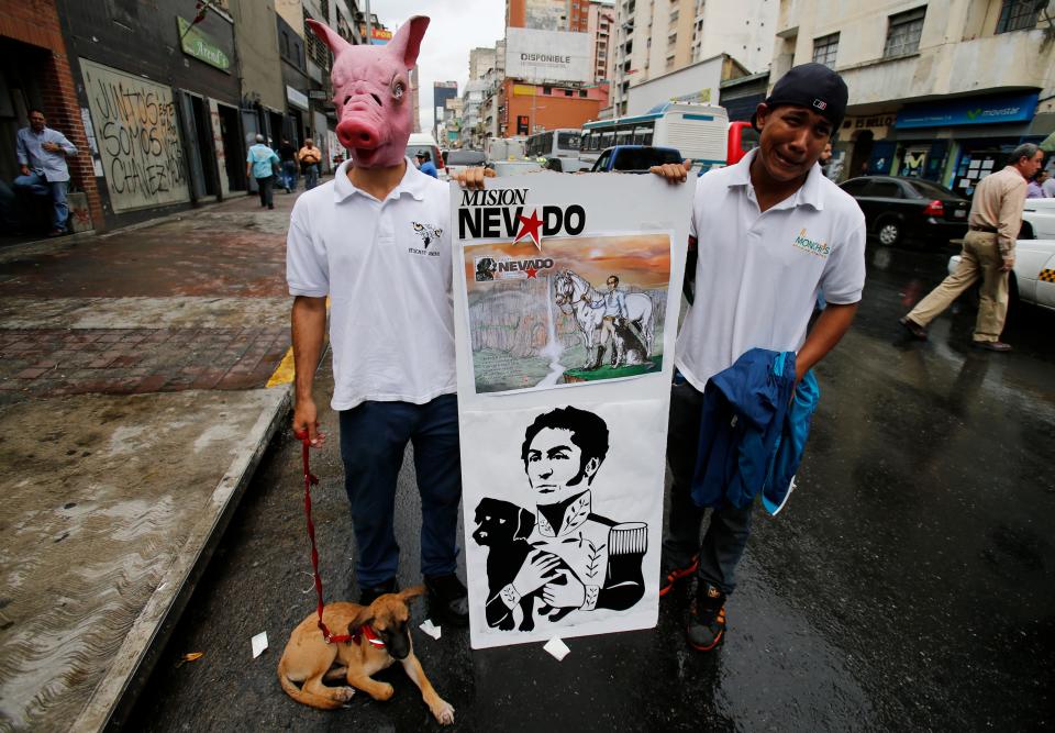 FILE - In this Oct. 4, 2013 file photo, two men, one wearing a pig head mask in protest against the slaughter of pigs for human consumption, hold a poster demonstrating Venezuelan independence hero Simon Bolivar as an animal lover, during a demonstration marking World Animal Day in Caracas, Venezuela. Venezuela’s late president Hugo Chavez used to delight in recalling how Nevado, a rare breed of shaggy sheepdog known as mucuchies, fought alongside Bolivar. Chavez rescued the mucuchies, named for the Andean town where the breed originated 400 years ago, from near-extinction in 2008 by providing funding to breed the remaining 23 purebreds. (AP Photo/Fernando Llano,File)