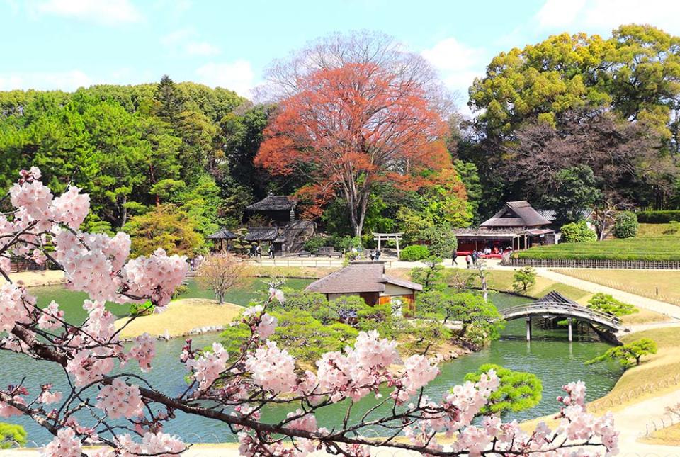 小石川後樂園（Image Source : Getty Creative）