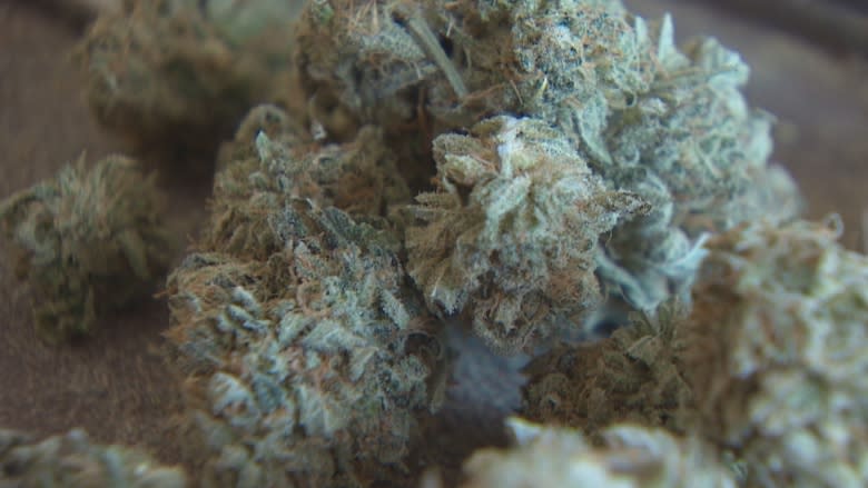 P.E.I. medical pot policies need changing, says advocate