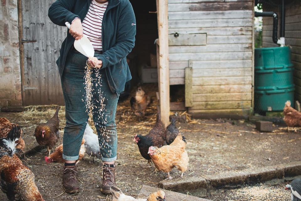 Photo credit: Bath City Farm