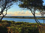 <p>With 270-degree water views of the Nantucket Sound and Martha's Vineyard, the home is oriented to optimize its prime waterfront location.</p>