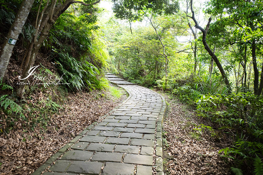 台北｜碧溪步道