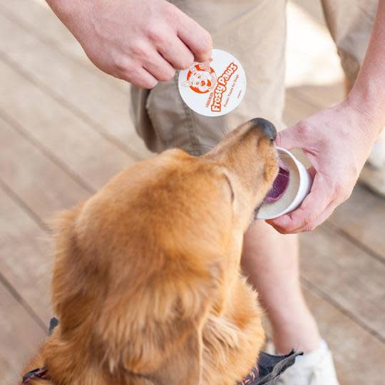 are frosty paws bad for dogs