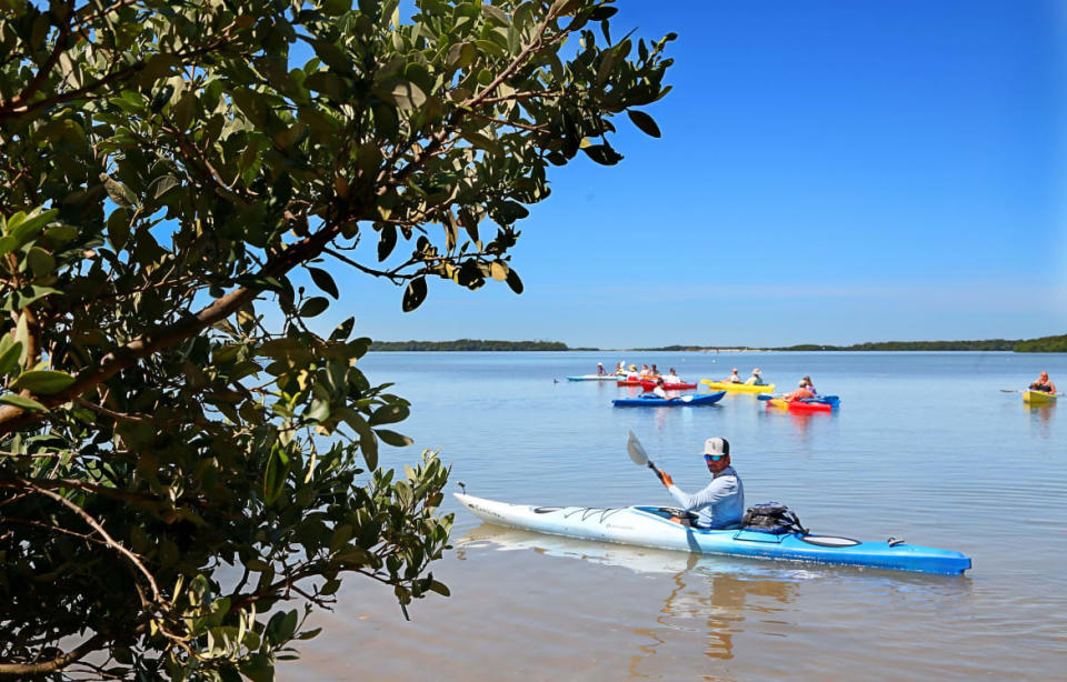   <div class="inline-image__caption"> <p>Kayakers in Shell Key Preserve.</p> </div> <div class="inline-image__credit"> Scott Keeler/Tampa Bay Times via ZUMA Wire </div>