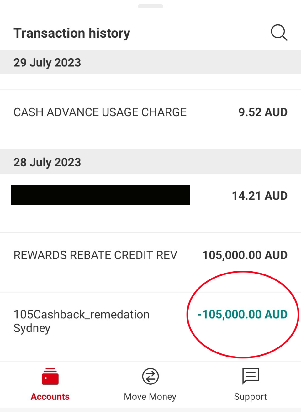 A screenshot of the man's Visa card banking transactions. 