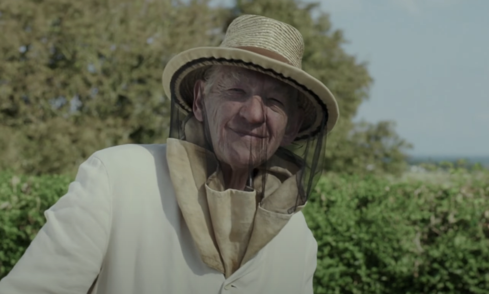 Sir Ian McKellen in a beekeeper's outfit in "Mr. Holmes"