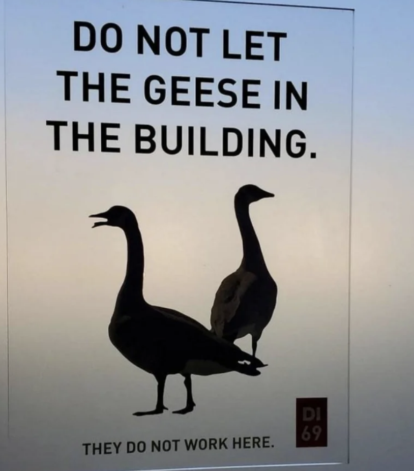 Sign with images of two geese and text saying, 