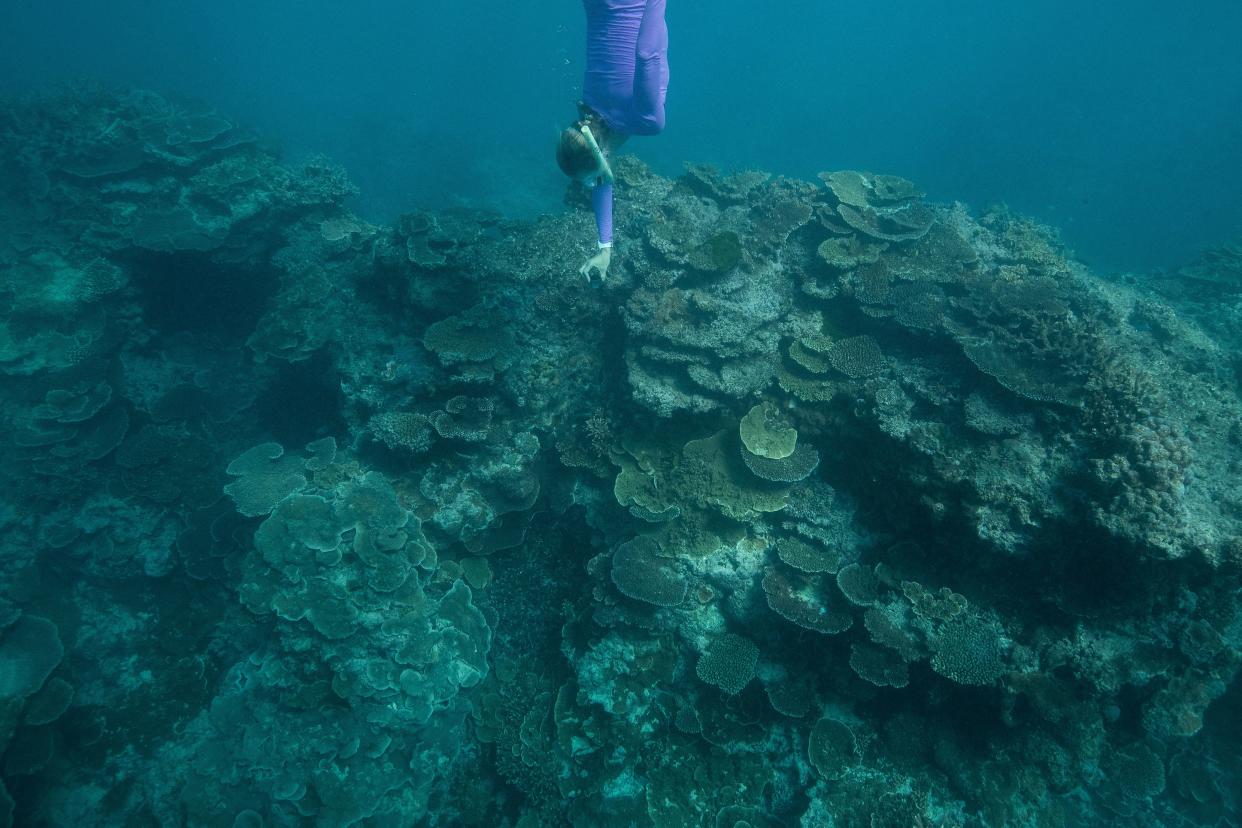 Gillian Backhouse of Australia swims to view coral during an athlete Great Barrier Reef experience on day eight of the Gold Coast 2018 Commonwealth Games at the Great Barrier Reef on April 12, 2018 on Lady Elliot Island, Australia.