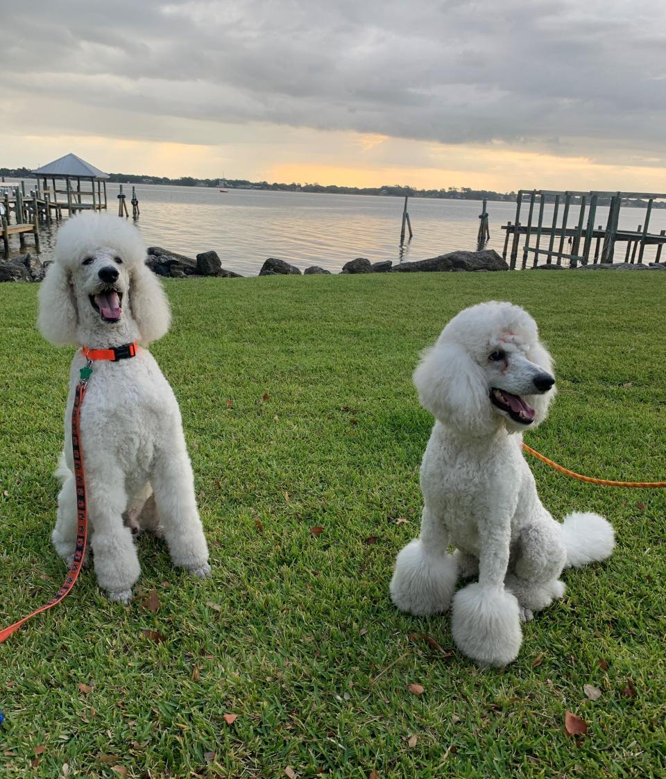 Eli, left, and Vivian take a photo break during a recent walk along the Indian River.