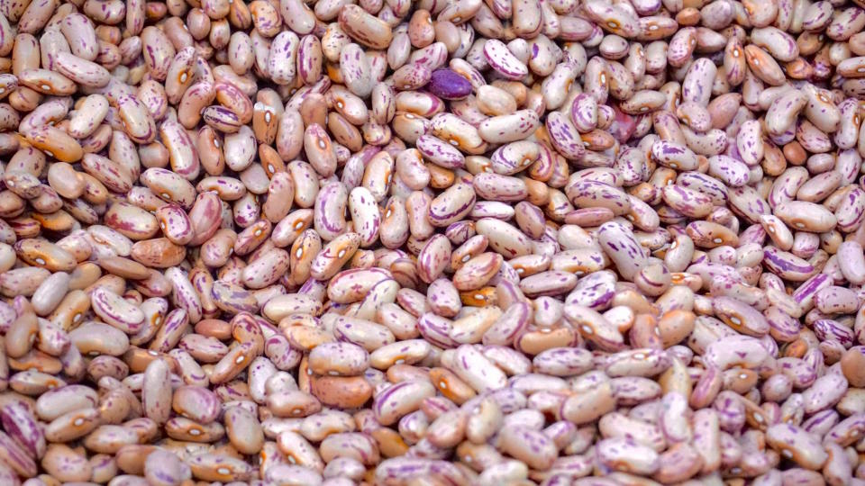 <p>Beans are all round winners as they’re high in thiamine, folate and are a low-GI carb [Photo: Pexels] </p>