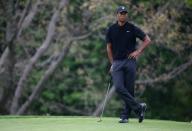 May 17, 2019; Bethpage, NY, USA; Tiger Woods on the fourth hole during the second round of the PGA Championship golf tournament at Bethpage State Park - Black Course. Mandatory Credit: Peter Casey-USA TODAY Sports