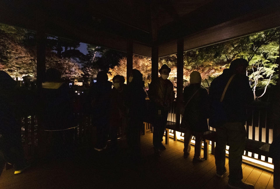 People wearing face masks watch maple trees illuminated for the fall foliage season at Otaguro Park in Tokyo on Thursday, Dec. 3, 2020. (AP Photo/Hiro Komae)