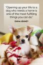 <p>"Opening up your life to a dog who needs a home is one of the most fulfilling things you can do."</p>