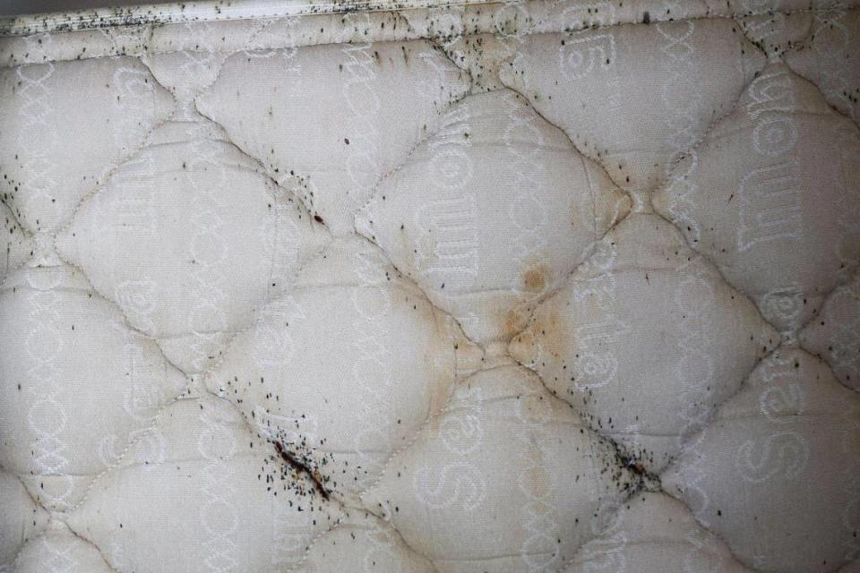 Leroy McKinney shows his mattress which is infested with bedbugs in his room at the Southern Comfort Inn in Charlotte, N.C., on Thursday, June 2, 2022. McKinney shares a room in with his sister and will be forced move at the end of the month when the motel closes.