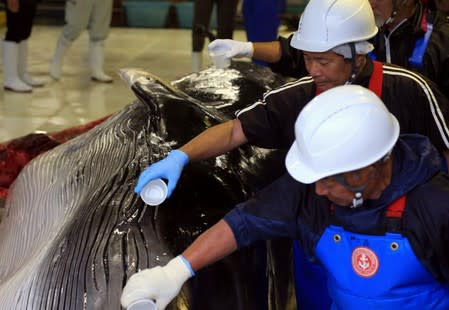 Workers pour sake on a captured Minke whale after unloading it, after commercial whaling at a port in Kushiro, Hokkaido Prefecture