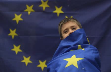 A demonstrator wears an EU flag outside the High Court during a legal challenge to force the British government to seek parliamentary approval before starting the formal process of leaving the European Union, in London, Britain, October 13, 2016. REUTERS/Toby Melville