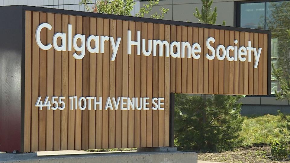 The Calgary Humane Society and and the Calgary Seniors' Resource Society have started a program for seniors with pets in a bid to assist those in need.  (Jo Horwood/CBC - image credit)