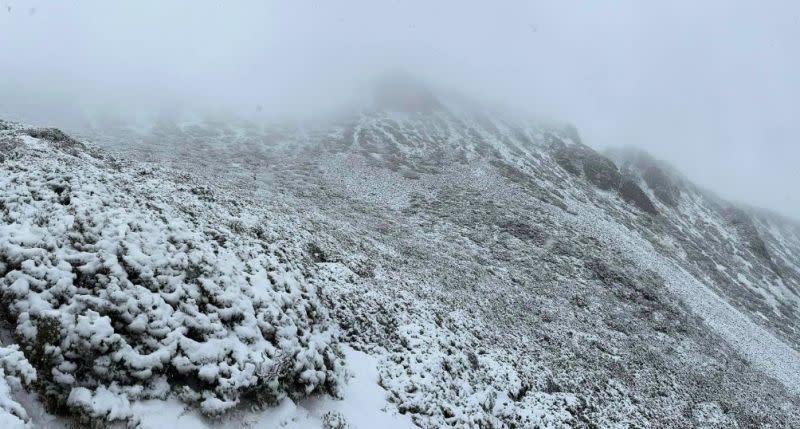 ▲不是愚人節！雪管處證實，雪山下起「四月雪」（圖／翻攝自臉書雪霸國家公園登山資訊分享站）