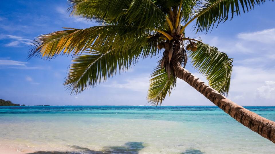 A tropical beach and lagoon in Moorea Island. French Polynesia