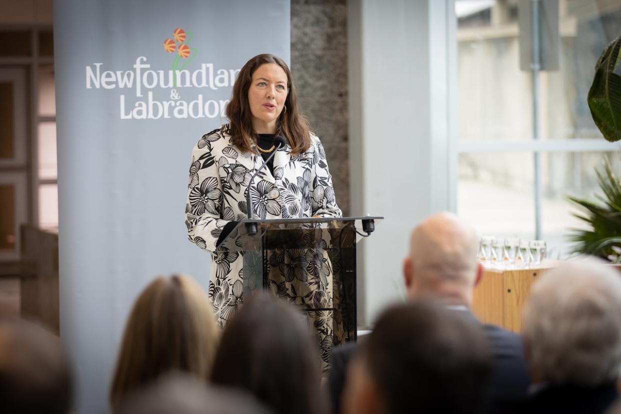 Professor Lesley James works with Memorial University's Department of Process Engineering. She says innovation within the field of carbon capture is critical. (Government of NL - image credit)