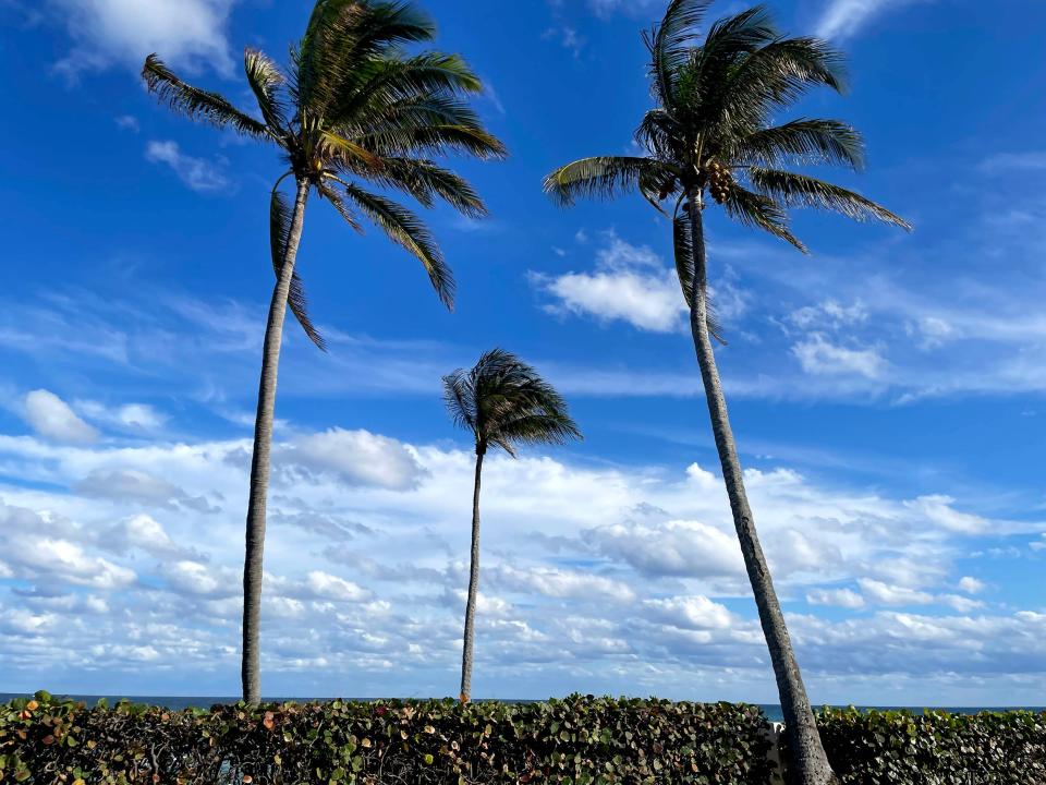 After an unusual weeks-long run of clouds and rain, sunny skies returned to Palm Beach this month, with pleasant temperatures in the mid-70s on Valentine's Day. In Palm Beach, weather and real estate sometimes go hand in hand.