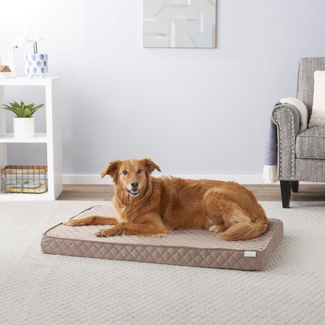 Chewy's clearance dog beds