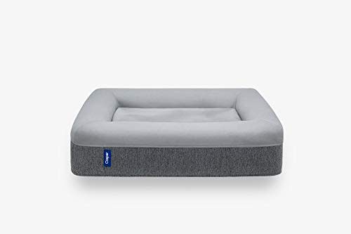 Foam Platform Dog Bed