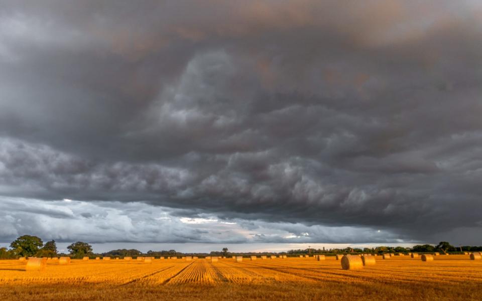 Storm clouds near Ludham, Norfolk on Wednesday evening - Steve Hardiman/Bav Media