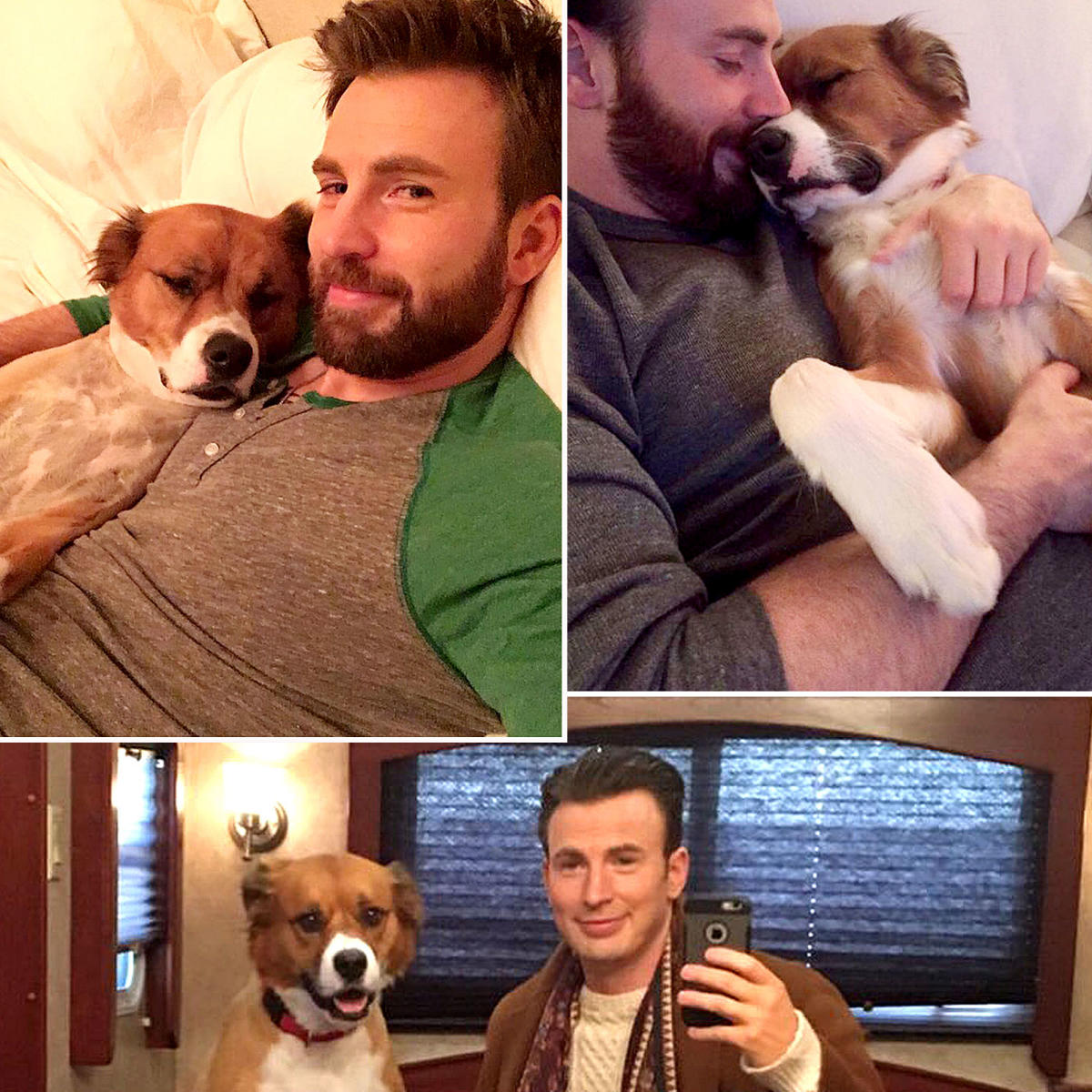 Chris Evans Reveals Disney-Inspired Reason for Naming His Dog Dodger