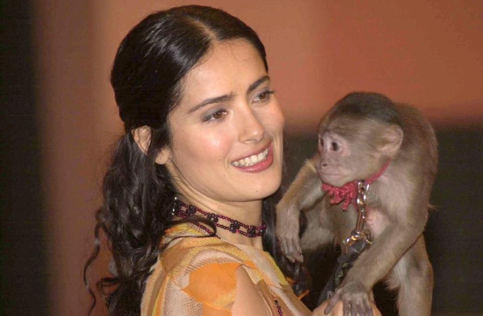 En 2002, con motivo del estreno de 'Frida', en México, Salma Hayek le contó a Pati Chapoy que, durante el rodaje de la cinta, el chango que usaron para dar vida a la mascota de la pintora, la mordió