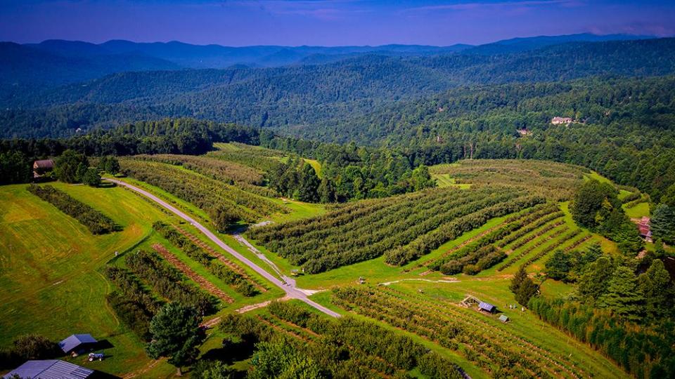 2) Sky Top Orchard in Flat Rock, North Carolina