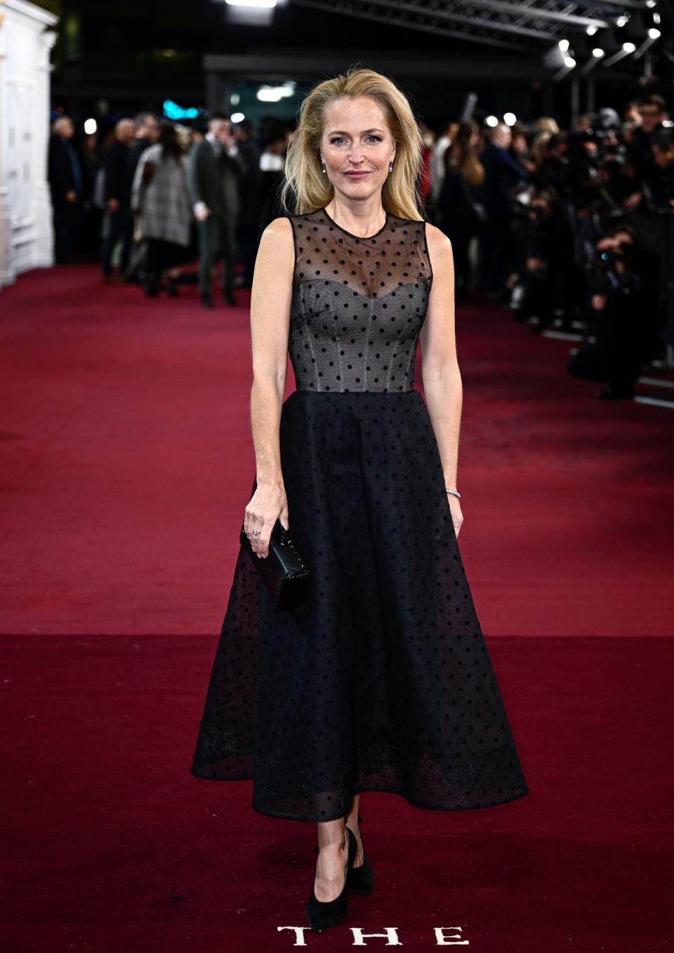 Gillian Anderson (Gareth Cattermole/Getty Images)