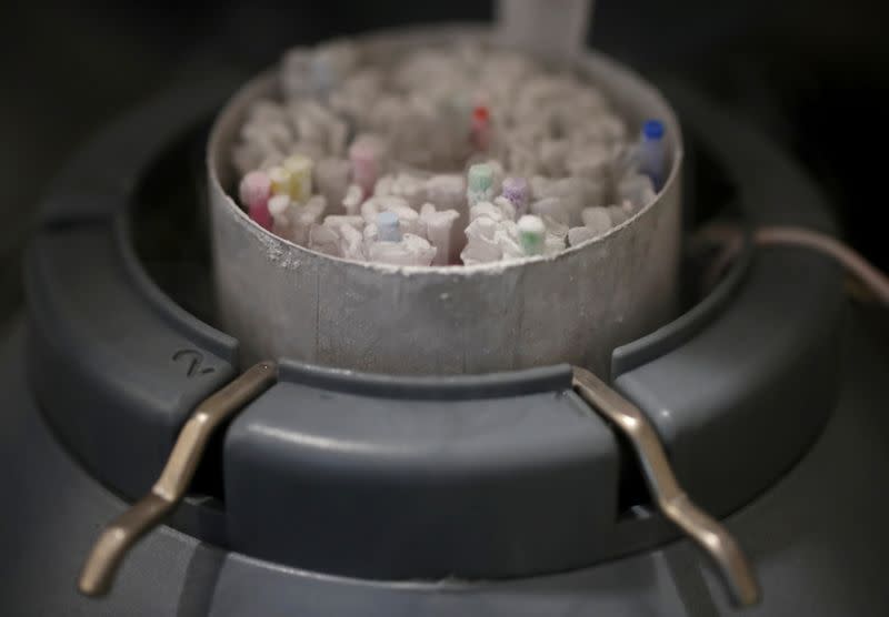 FILE PHOTO: Frozen vials of sperm are seen preserved in an azote cooled container in a laboratory in Paris