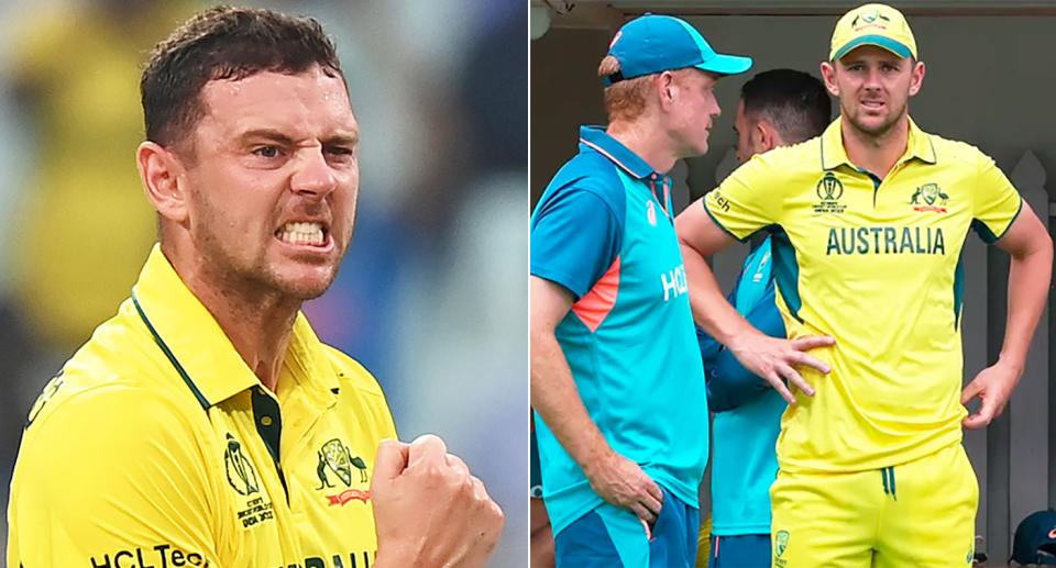 Pictured right, Josh Hazlewood in consultation with Australia coach Andrew McDonald.