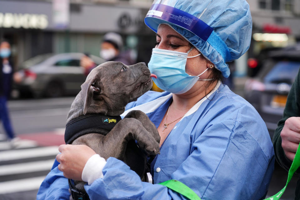 A medical worker from Lenox Hill Hospital gets a kiss from a puppy while people show gratitude as part of the nightly #ClapBecauseWeCare during the coronavirus pandemic on May 11, 2020 in New York City. (Photo by Cindy Ord/Getty Images)