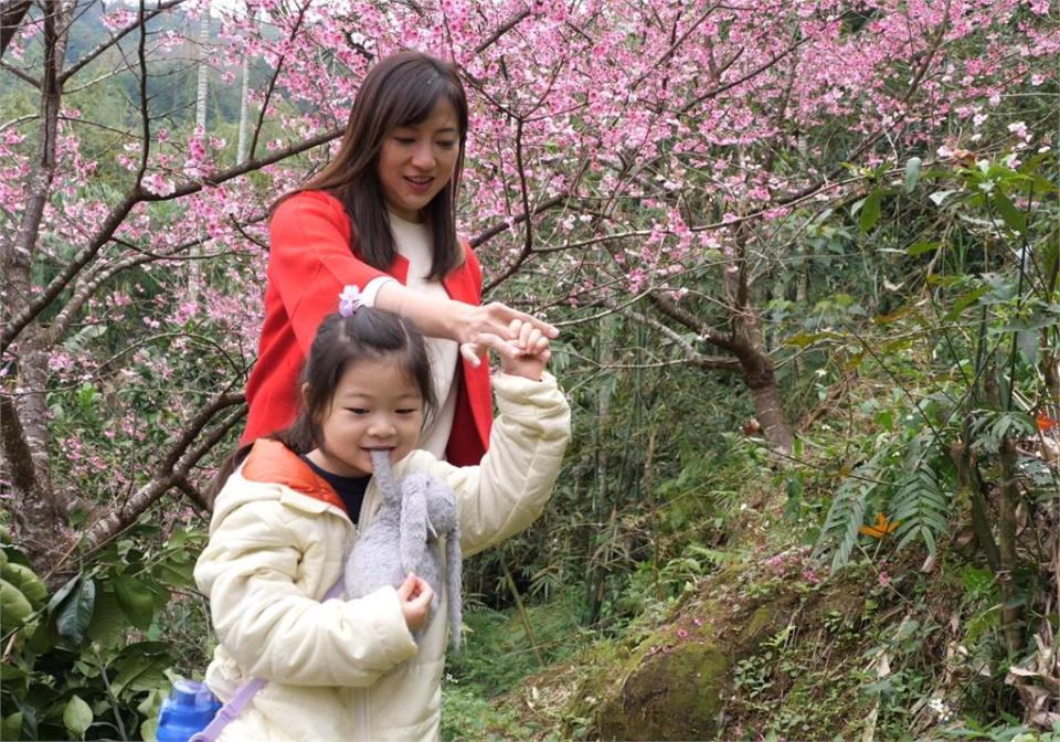 龍年走春推薦　陳乃瑜公開「私藏浪漫賞櫻秘境」女兒超萌正面照曝光