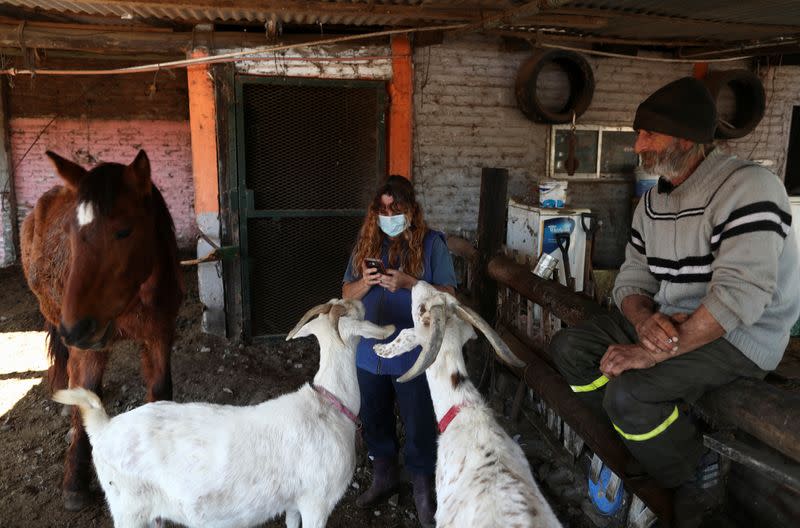 Nora Perez, President of APRE (Equine Rescue Protection Association), checks her phone next to carer Walter Carbone and mistreated animals rescued by the association, at their refuge, in Lanus, on the outskirts of Buenos Aires