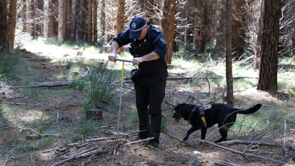Police have begun a new search into the disappearance of Jessica Zrinski, this time focusing on bushland at Jenolan State Forest. Picture: Supplied