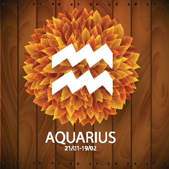 <p>Aquarius ( 21st January to 18th February ) : The movements of Venus will help in facilitating opportunities for increasing earnings. Movement of Jupiter in the last quarter of 2017 will give a further push to your position in your career as well as on the financial front. Do not risk an existing job, lured wrongly by a tempting offer, which may not actually materialize later. Do not take risks and attempt changes, during retrogression of Venus. Have patience. In the year's latter half you may get a good opportunity to change your job. Singles may be eager to start an intimate relationship. They will get support from the planet of love and intimate relationships – Venus. </p>