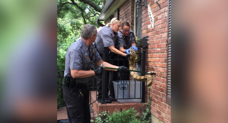 The postal worker alerted animal control. Source: @OverlandPark_PD/ Twitter