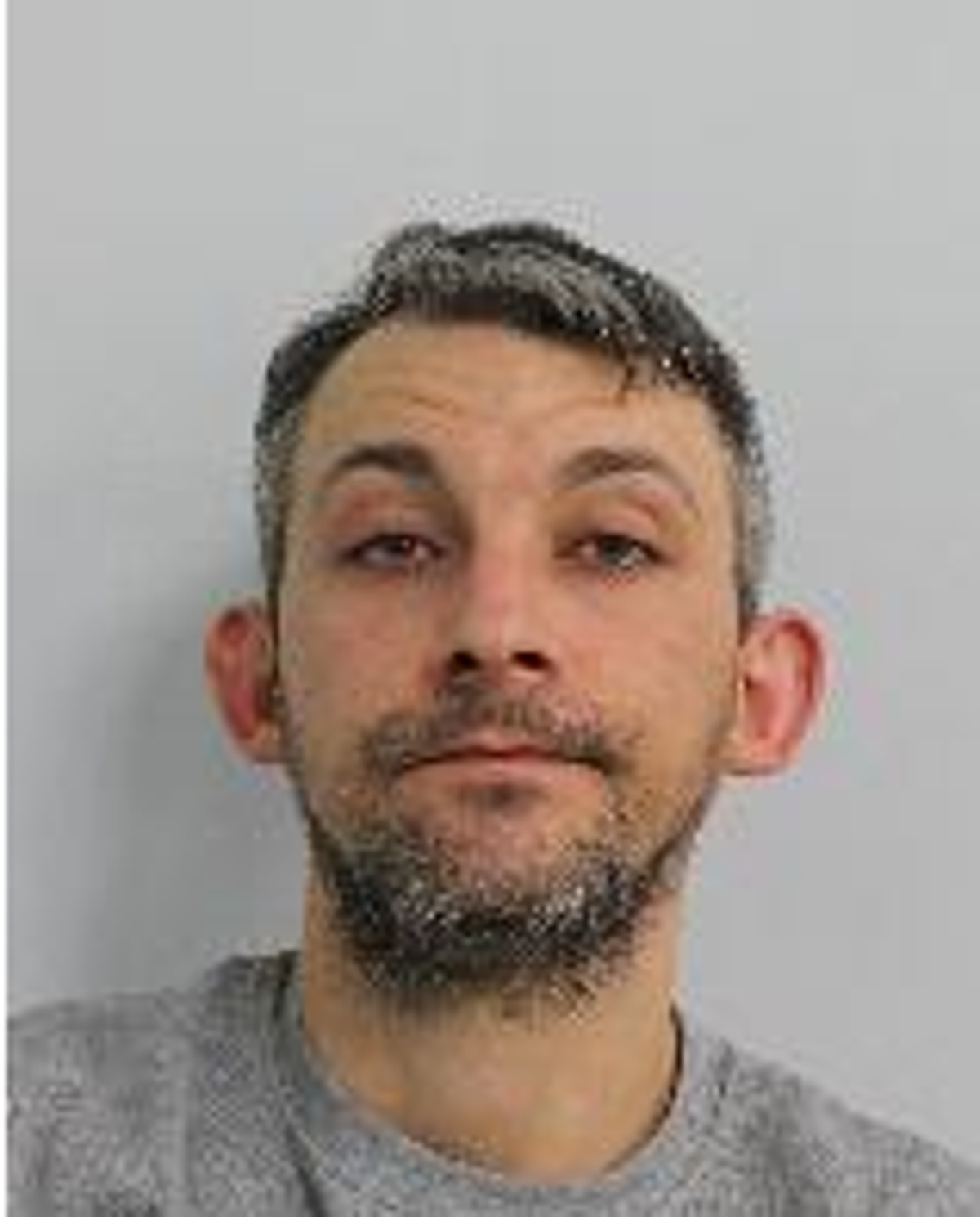 Appeal: Matthew Ellis (Met Police)