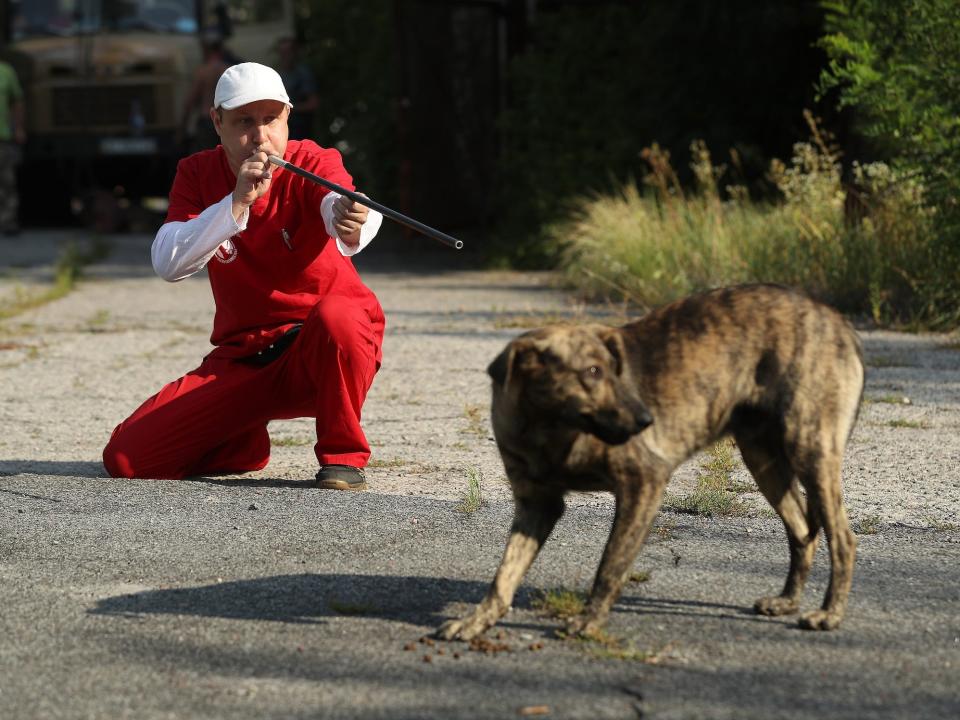 man in red jumpsuit crouches aims long blow gun at stray dog on asphalt