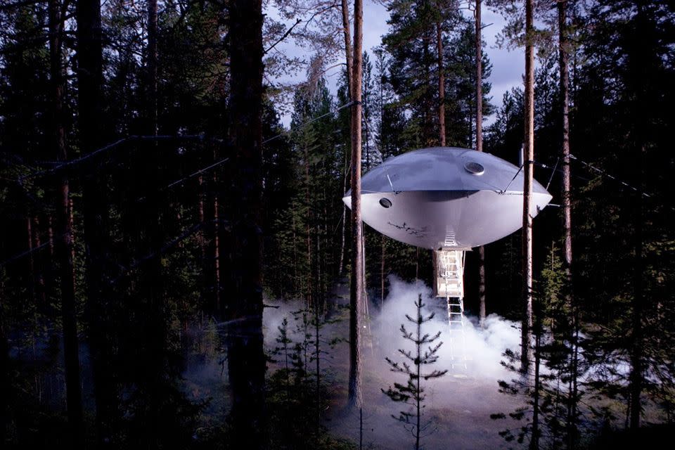 <p>Sci-fi geeks will love staying in this towering hotel room in Sweden, even if they won't be sharing the space with extra-terrestrial guests.</p><p><a class="link " href="https://go.redirectingat.com?id=74968X1596630&url=https%3A%2F%2Fwww.tripadvisor.com%2FHotel_Review-g6200614-d1872348-Reviews-Treehotel-Harads_Norrbotten_County.html%23%2Fmedia%2F1872348%2F267330000%3Ap%2F%3Falbumid%3D101%26type%3D0%26category%3D101&sref=https%3A%2F%2Fwww.housebeautiful.com%2Fdesign-inspiration%2Fhouse-tours%2Fg3301%2Famazing-tree-house-homes%2F" rel="nofollow noopener" target="_blank" data-ylk="slk:BOOK NOW;elm:context_link;itc:0;sec:content-canvas">BOOK NOW</a> <strong><em>The UFO</em></strong></p>