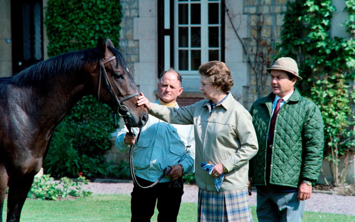 The Queen strokes Tourmalet during a visit to her friend Alec Head, right, at the Quesnay stud near Deauville - MYCHELE DANIAU/AFP via Getty