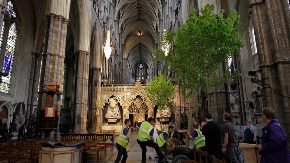 People moving William and Kate's maple trees from their wedding